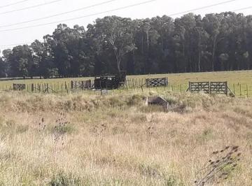 Campo , Punta Indio · Campo de 93 Ha en Venta Enalvarez Jonte Las Tahonas Ruta 36 Km32
