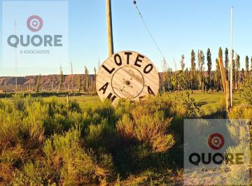 Terreno · 300m² · Venta de Terreno en Barrio Amedea - Lote 19 - Plottier