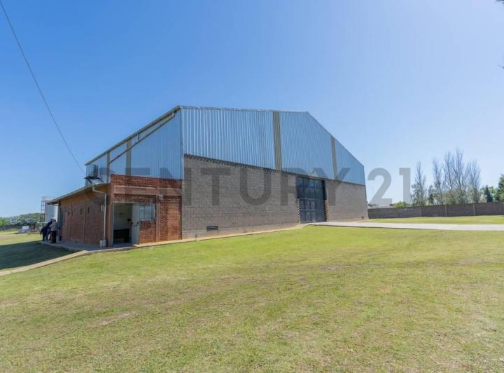 Bodega-Galpón · 1236m²