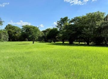 Terreno · 440m² · Terreno en Venta en Cayasta