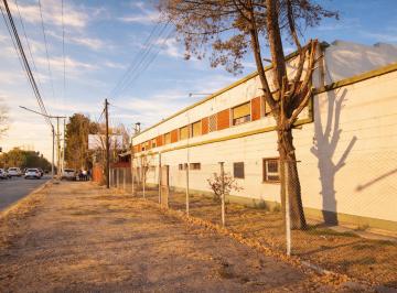 Depósito , Neuquén · Edificio Comercial en Alquiler Sobre Ruta – Oficinas, Local y Depósito