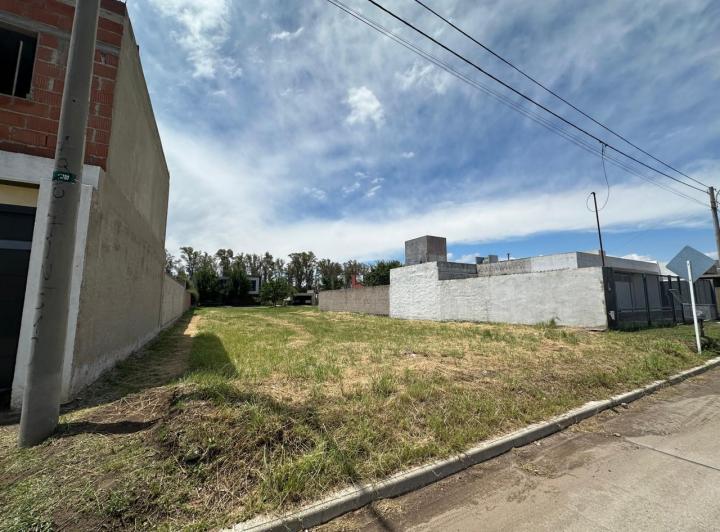 Terreno · 320m²
