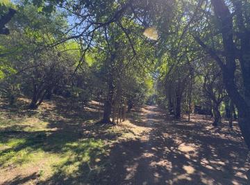 Terreno · 1000m² · Terreno en Venta 1000 m², Villa Los Altos, Rio Ceballos