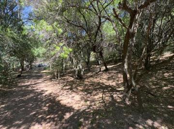 Terreno · 1000m² · Terreno en Venta 1000 m², Villa Los Altos, Rio Ceballos