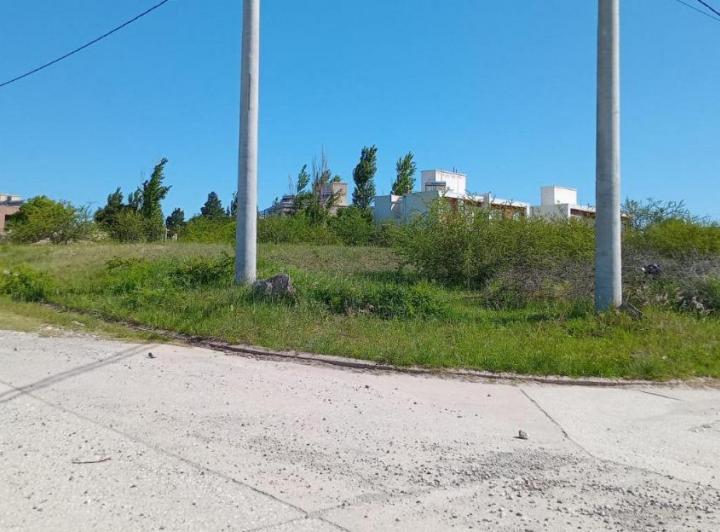 Terreno · 2000m² · 1 Ambiente