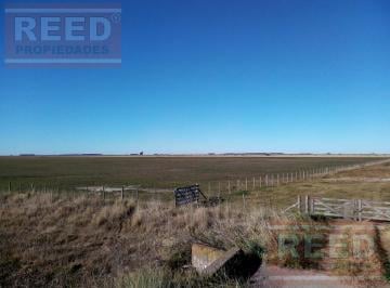Campo · 1500000m² · Excelente Campo 150 Has - General Alvear