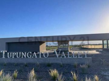 Terreno · 1000m² · Lote en Venta en Tupungato