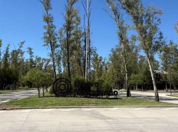 Terreno , Malagueño · Venta Lote - B° Nuevo Malagueño - 252 m Apto Vivienda Individual