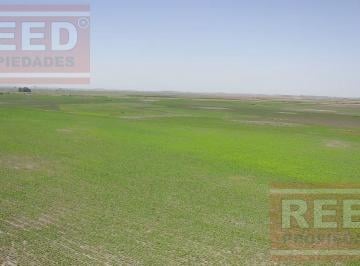 Campo · 2300000m² · Campo en Roque Perez