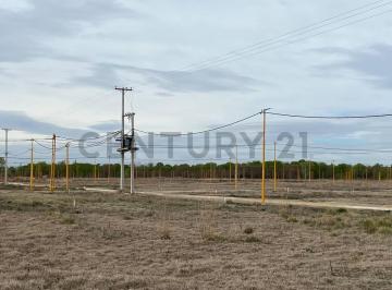 Oficina comercial · 250m² · Terreno en Rufina - Cervantes