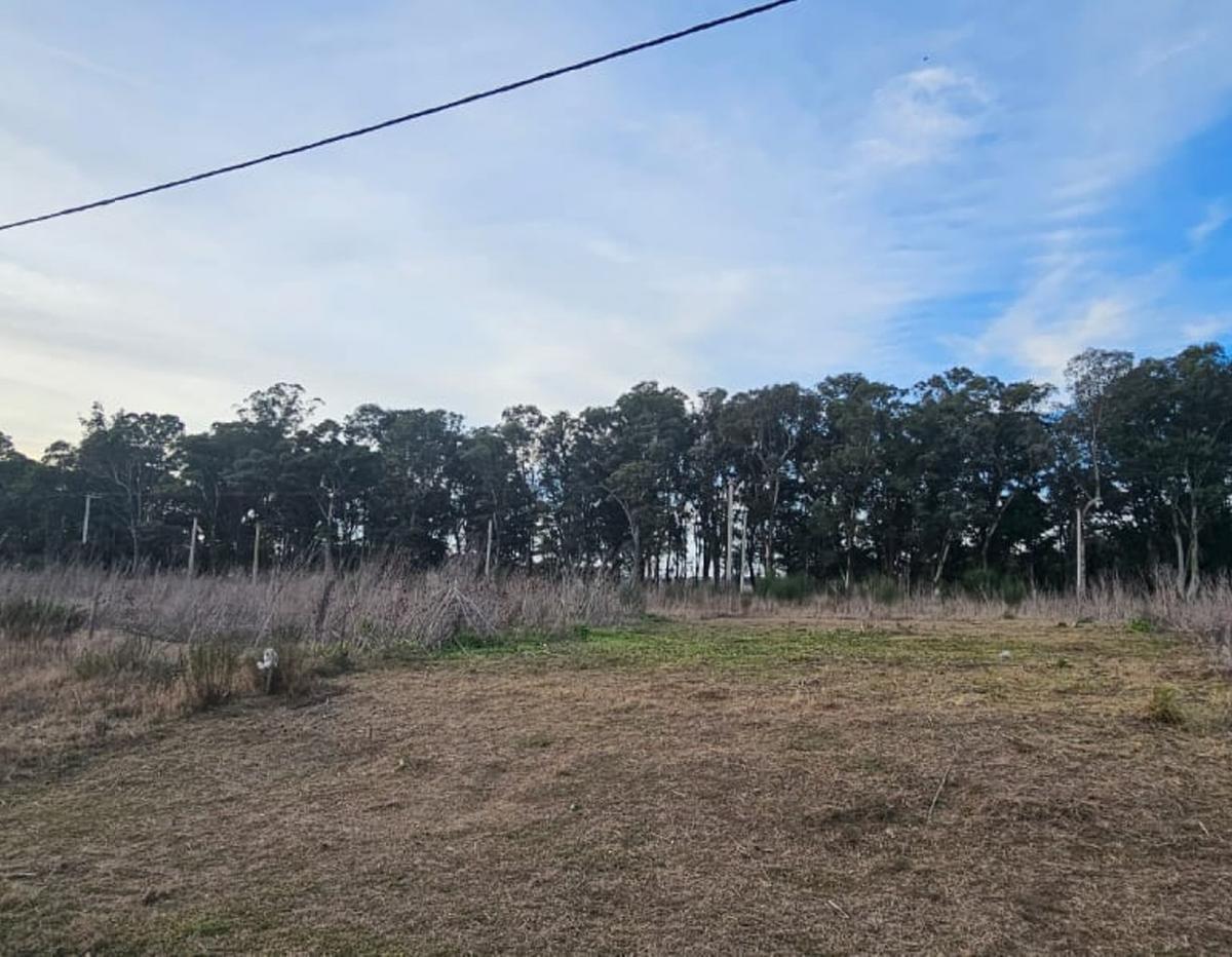 Venta en loteo nuevo, cloacas, luz, agua, 290m² — Centro