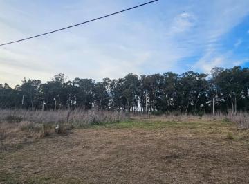 Terreno · 290m² · Venta Lote 10x29