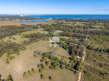 Foto1 · Chacra en Venta en Camino Lussich, Punta Ballena - Ref: Pbi15449