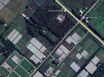 Campo · 97954m² · Campo en Venta