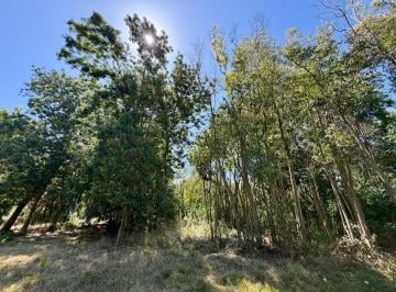 Terreno · 322m² · Lote en Venta en Matheu ID 5928