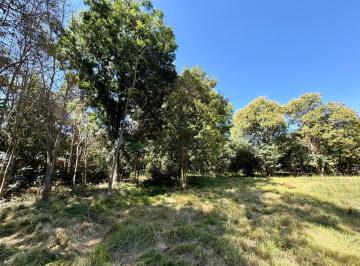 Terreno · 372m² · Lote en Venta en Matheu ID 5926