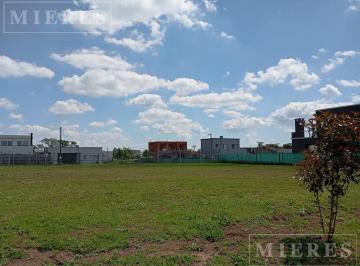 Terreno · 536m² · Lote Perimetral de 536 m² en Santa Elisa, Pilar del Este.