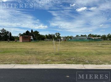 Terreno · 504m² · Terreno en Venta en El Barrio Santa Sofia, Pilar del Este