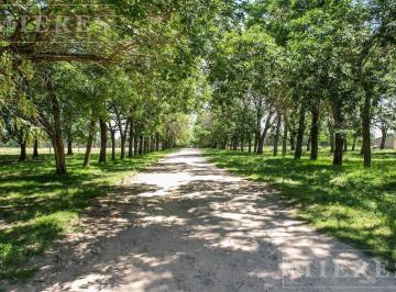 Terreno · 809m² · Lote de 809 m² en Venta en La Tartana Pilará