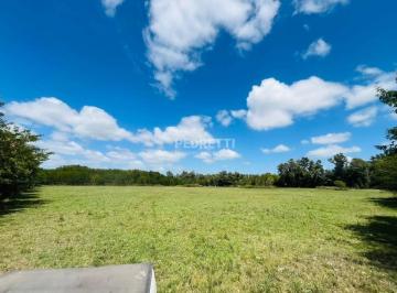 Terreno · 5000m² · Terreno Comercial en Venta en Cañuelas Sobre Ruta 3 Km 71,5