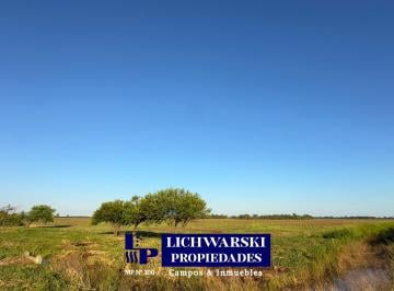Campo , Las Breñas · Venta Campo 100 Hectáreas | Us$6.500/ha | Sobre Vía, Ideal Para Plantas de Silo | Las Breñas, Chaco