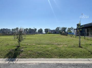 Foto Principal · Lote Venta Barrio Santa Elisa - Interno - 450 m² #id 18984