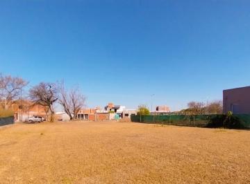 Terreno · 1000m² · Terreno El Prado