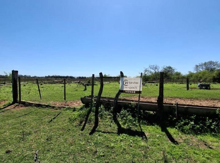 Campo · 56ha