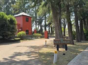 20260113_111712.jpg · Lote en Venta – Barrio Los Tres Coniles, Pilar (Gba Norte)