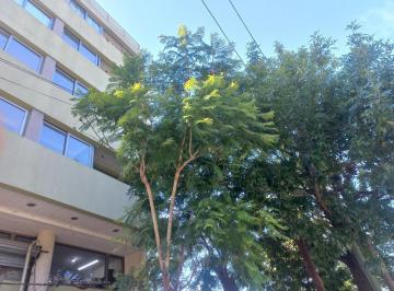Departamento · 87m² · 4 Ambientes · 1 Cochera · Departamento Boulevard 82 E/ 35 y 36 1er Al Frente