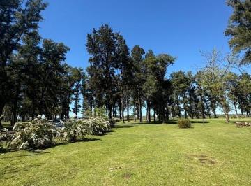 IMG_7736.jpeg · Venta de Lote, Barrio Tres Pinos Villa de Campo