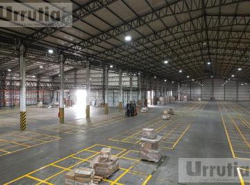 Bodega-Galpón · 6000m² · Cerrito 1200 - Ituzaingó - Ituzaingó