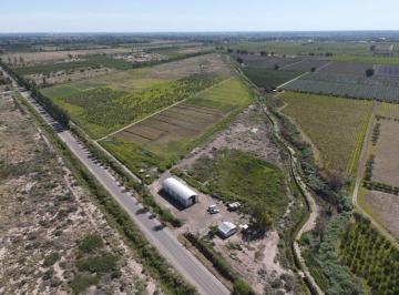 Campo , Junín · Finca con Excelentes Tierras con Certificación Orgánica