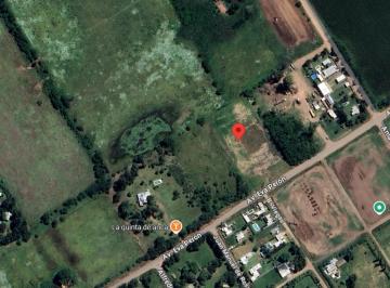 Terreno · 10000m² · Terreno en Venta - 10.000 m² - 9 de Julio