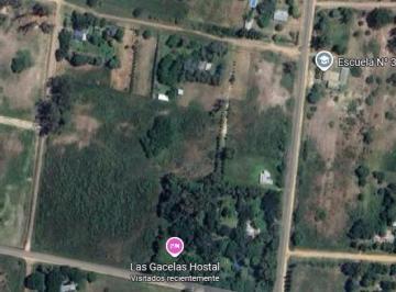Quinta vacacional , Gualeguay · Venta Terreno Chacra Gualeguay Entre Ríos