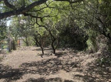 Terreno · 838m² · Terreno de 838 m² Ubicado a 50 m de La Ruta E - 53! El Manzano!