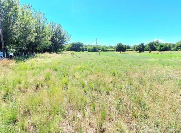 chacra · Bañado de Soto Campo 50 Ha