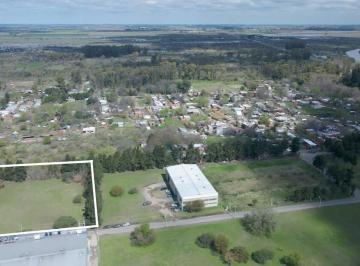 Terreno · 1100m² · Lote 5.082 m² - Ov. Lagos 7285