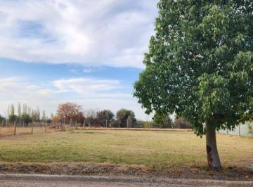 Terreno , La Primavera · Lote en Venta