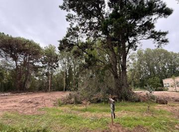 Terreno , Costa del Este · Amplio Lote en Los Girasoles, Costa del Este