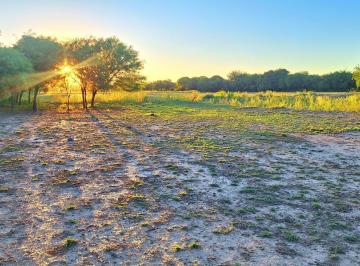 chacra al atardecer · Palo Parado Campo de 21 Ha