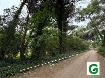 Terreno · 1197m² · Constancia y Ciguea - Fraccion 1