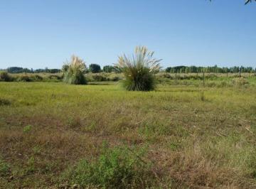 Terreno , Tunuyán · Lote en Tunuyan - Barrio Semi Privado