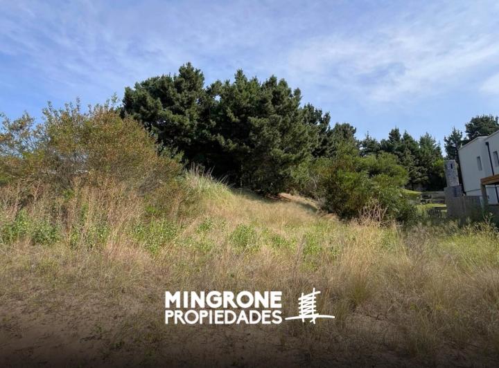 Terreno · 1019m²
