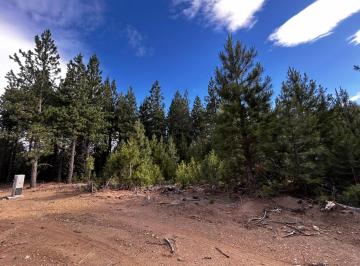 Terreno · 980m² · Lote con Gran Capacidad de Explotacion.