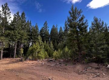 Terreno · 980m² · Lote con Gran Capacidad de Explotacion.