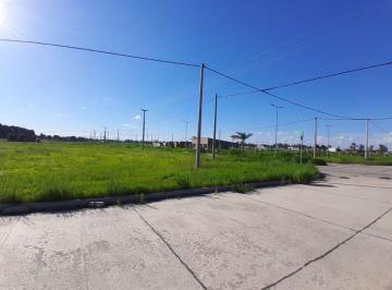 Terreno , Ángel Gallardo · Terreno en Praderas "El Chaquito" - 200 m² Sobre Asfalto
