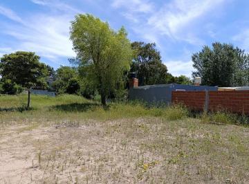 Terreno · 919m² · Lote de Terreno Calle 8 - Tala Sur