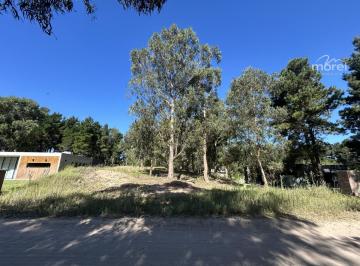 Foto Principal · Lote Venta Barrio Costa Esmeralda - Senderos 3 - Interno - 1118 m² #id 10793