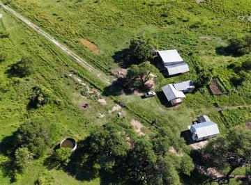 Campo · 11500000ha · Campo Ganadero en Pueblo Libertador